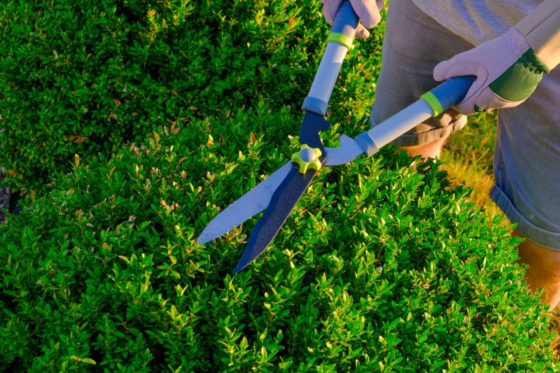 Specialized Equipment