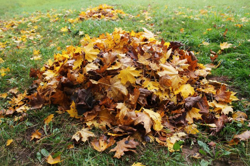 Leaf Mulching Benefits