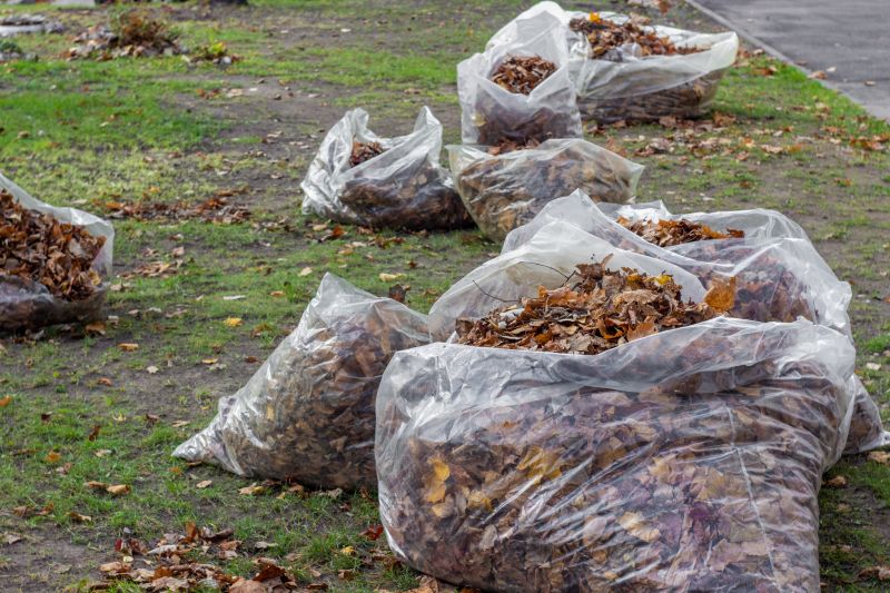 Leaf Collection Piles