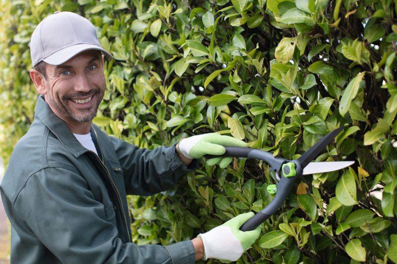Hedge Pruning in Rockwall, TX