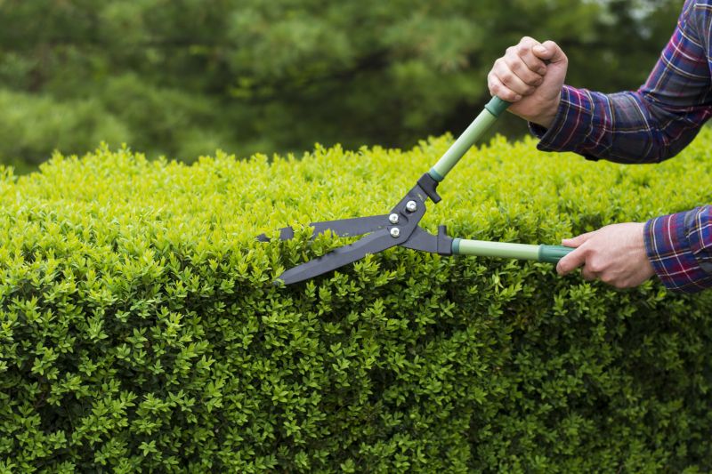 Hedge Trimming Tools