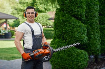 Hedge Trimming - Hedge Trimming Winslow, Arkansas